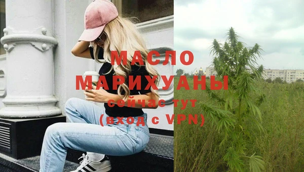 гидра Чердынь