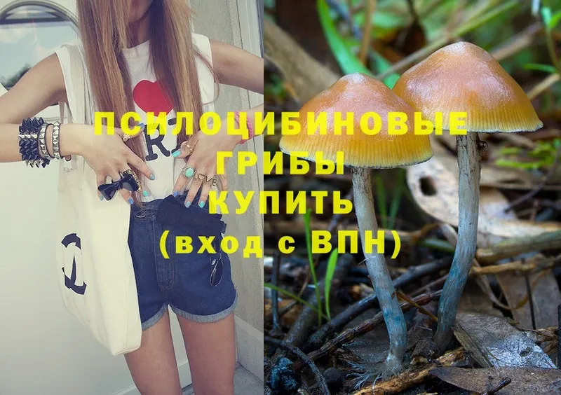 даркнет сайт  МЕГА ссылки  Псилоцибиновые грибы Psilocybine cubensis  Новочебоксарск 