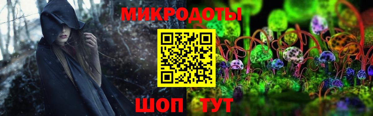 Галлюциногенные грибы Cubensis  Новочебоксарск 