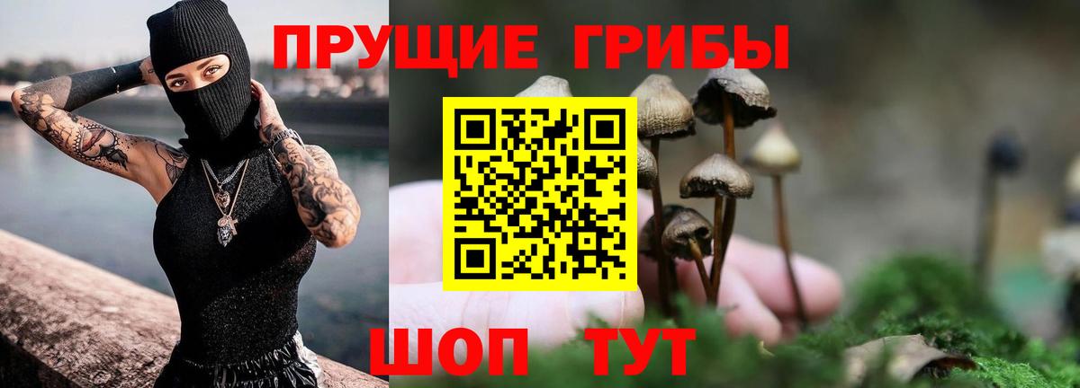 Псилоцибиновые грибы прущие грибы Новочебоксарск